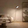 Напольный светильник ST LUCE JARRO SL1803.205.01