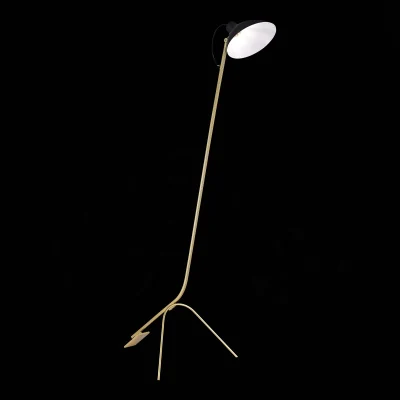 Напольный светильник ST LUCE JARRO SL1803.205.01