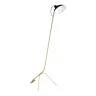 Напольный светильник ST LUCE JARRO SL1803.205.01