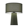 Настольный светильник ST LUCE JACKIE SL1354.704.01