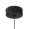 Подвесной светильник Freya Idol FR6134PL-L4SM