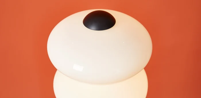 Торшер Freya Aqua FR5553FL-L20B