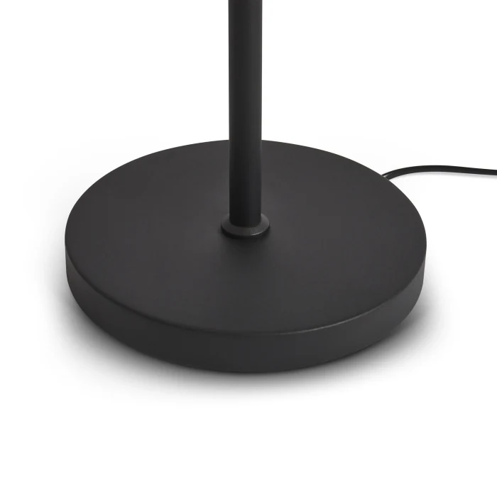 Торшер Freya Aqua FR5553FL-L20B