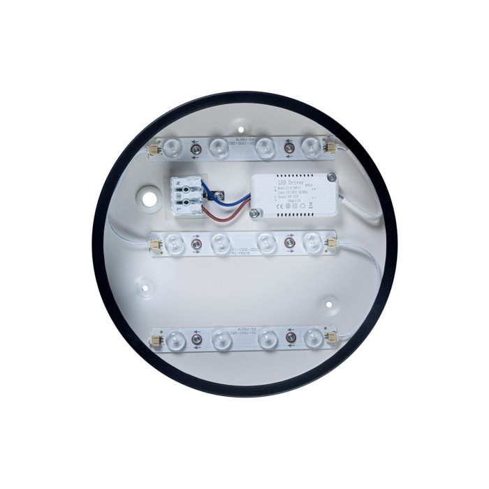 Светильник потолочный LOFTIT Axel 10002/12 Black