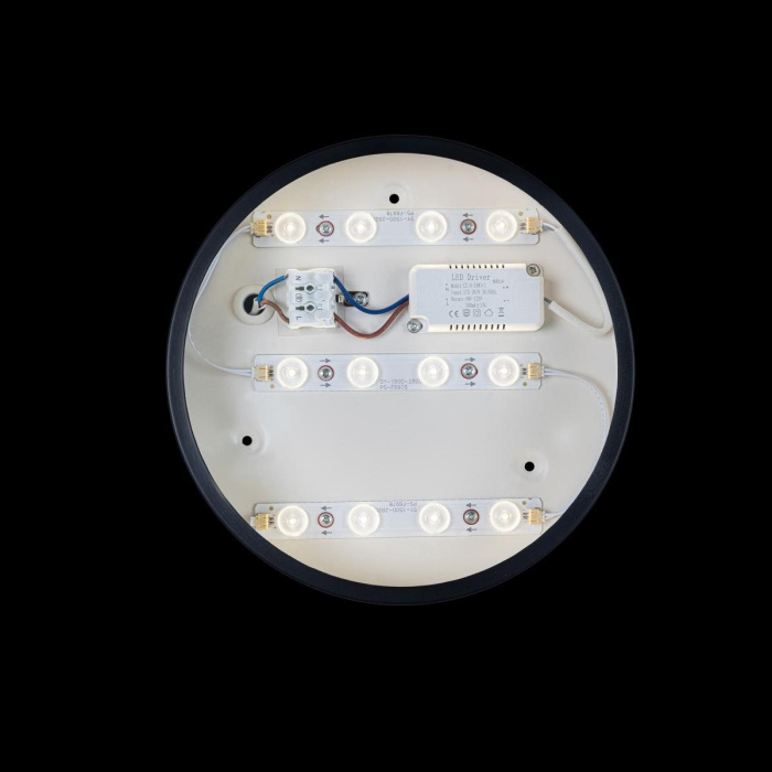 Светильник потолочный LOFTIT Axel 10002/12 Black