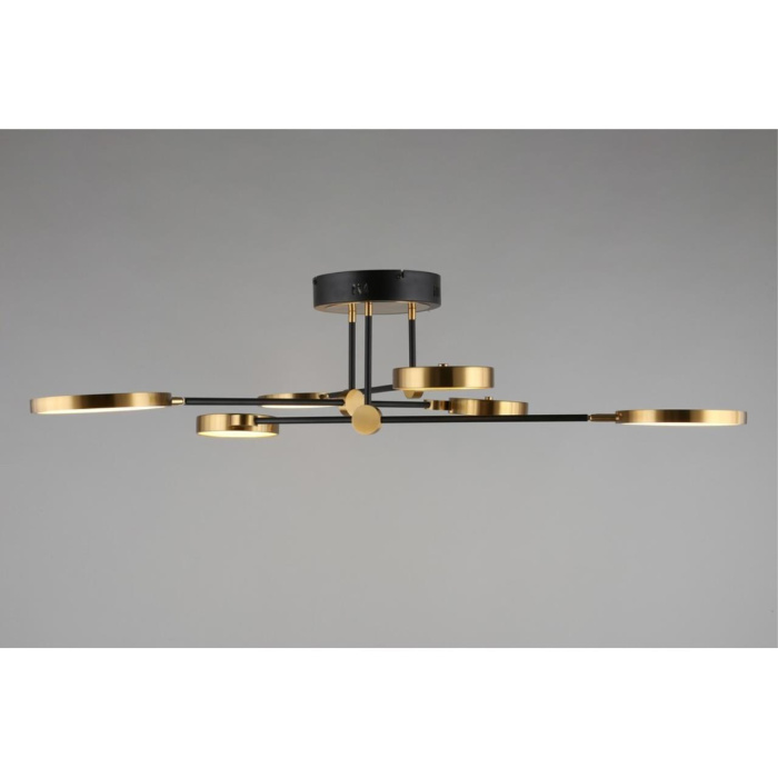 Потолочный светодиодный светильник Aployt Ines APL.043.07.50