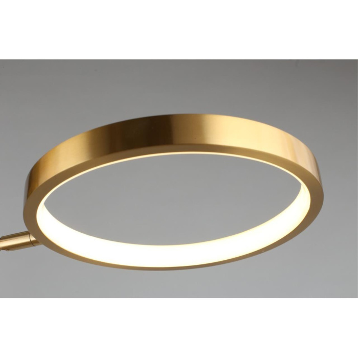 Потолочный светодиодный светильник Aployt Ines APL.043.07.50