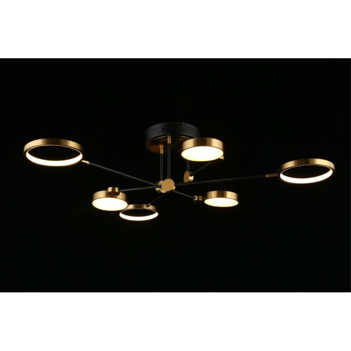 Потолочный светодиодный светильник Aployt Ines APL.043.07.50