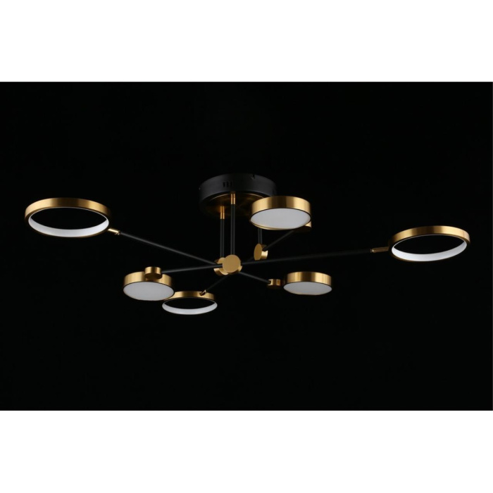 Потолочный светодиодный светильник Aployt Ines APL.043.07.50