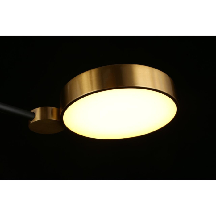 Потолочный светодиодный светильник Aployt Ines APL.043.07.50