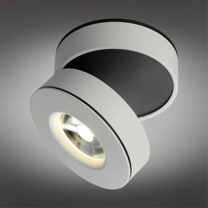 Спот Omnilux Borgetto OML-101909-12