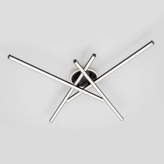 Светильник потолочный Citilux Trent CL203641