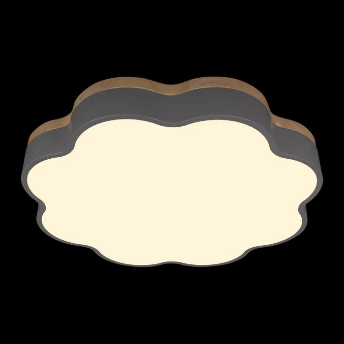 Потолочный светильник LOFT IT Axel 10225/36 Grey