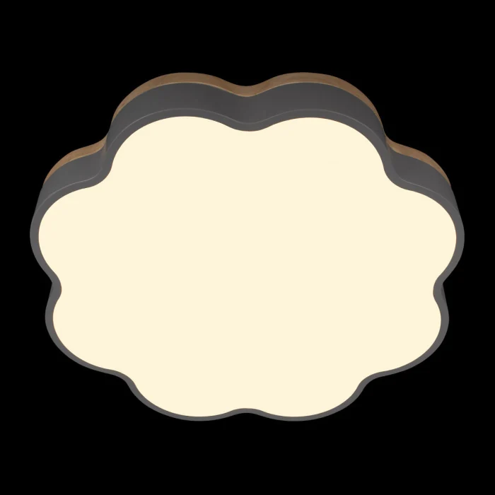 Потолочный светильник LOFT IT Axel 10225/36 Grey