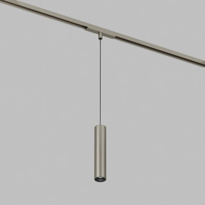 Светильник на шине Denkirs SHINE SPOT DK5744-DN
