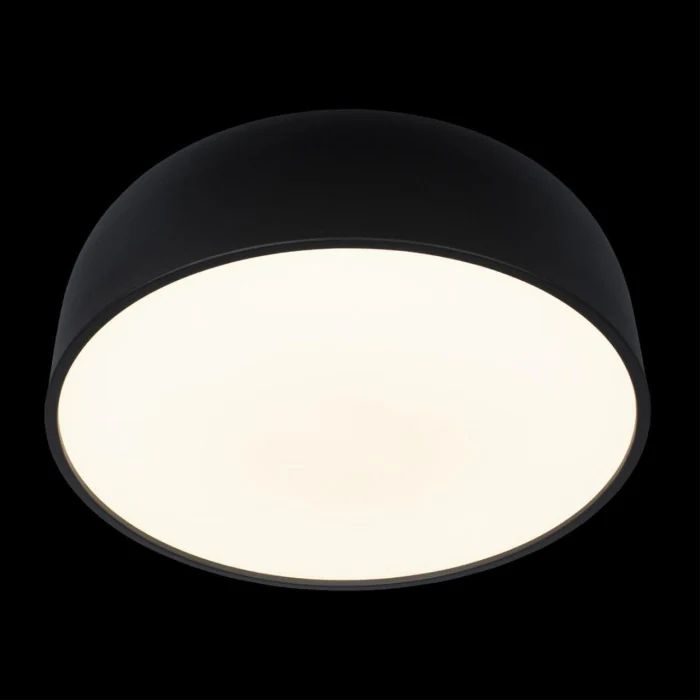 Потолочный светильник Loft it Axel 10201/480 Black