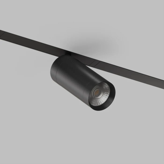 Светильник на шине Denkirs SMART SPOT DK8020-BK