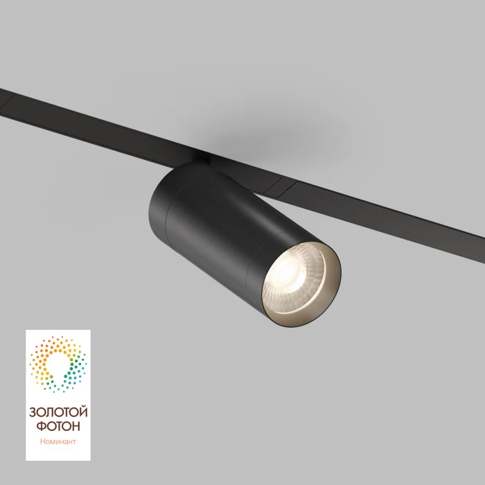 Светильник на шине Denkirs SMART SPOT DK8020-BK