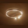 Потолочный светодиодный светильник Ambrella light FL5807