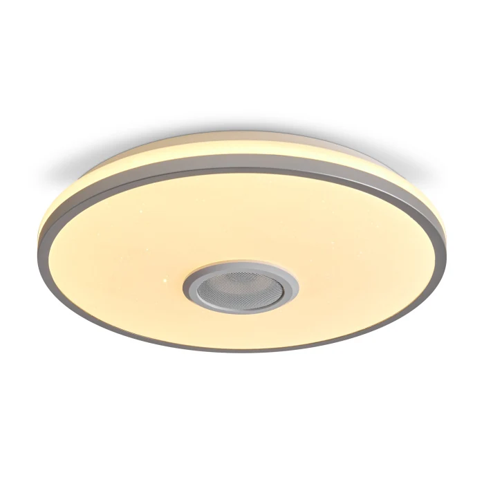 Потолочный светильник Freya Rond FR6226CL-L36W