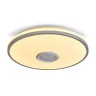 Потолочный светильник Freya Rond FR6226CL-L36W