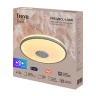 Потолочный светильник Freya Rond FR6226CL-L36W