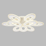 Потолочный светодиодный светильник с пультом Ambrella light FA8933