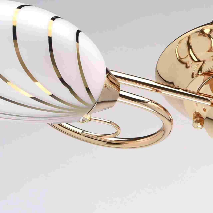 Люстра Фиеста MW-LIGHT 267012803