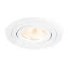 Встраиваемый поворотный точечный светильник GU5.3 Ambrella light TN102501