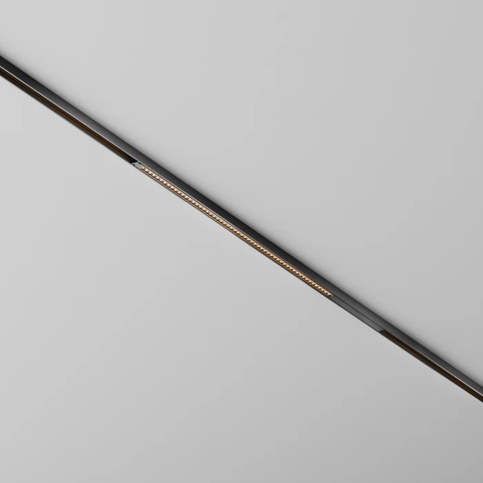 Трековый магнитный светильник Maytoni Technical Points Exility X TR241-4-12WTW-DSZ-B