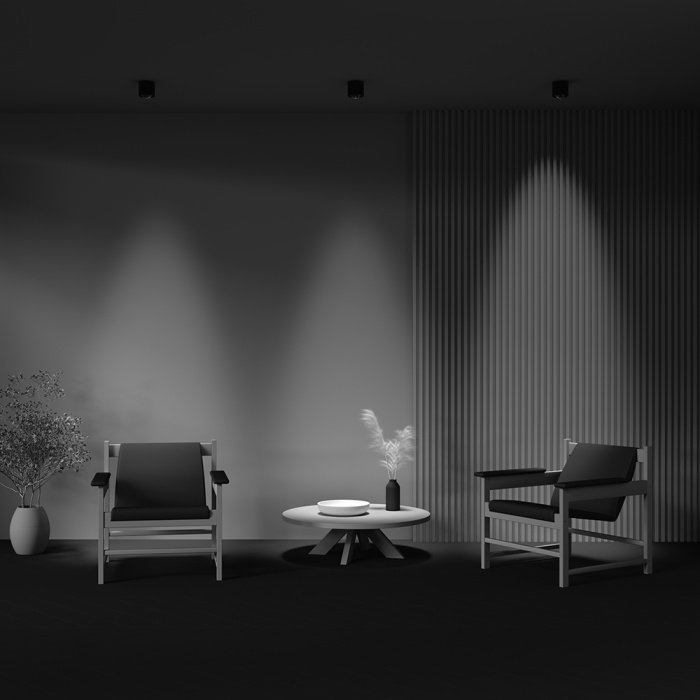 Потолочный светильник Maytoni Lens C217CL-15W3K-B