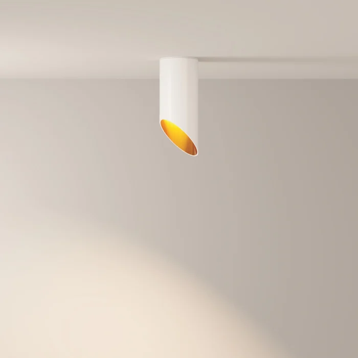 Потолочный светильник Maytoni Technical Lipari C044CL-01-15GU10-W