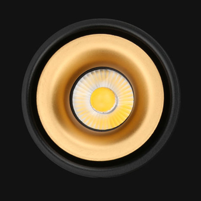Спот AGENDA black+gold 10W ImperiumLoft
