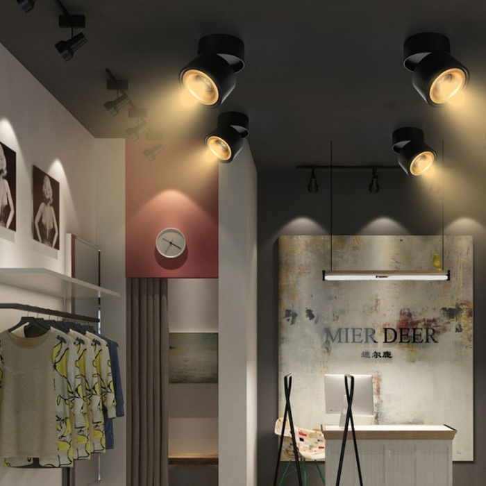 Спот AGENDA black+gold 10W ImperiumLoft