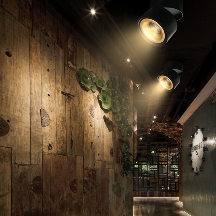 Спот AGENDA black+gold 10W ImperiumLoft