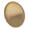 Настенный светильник ST LUCE FOSSIL SL6900.501.16