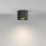 Потолочный светильник Maytoni Calipso C106CL-GX53-B