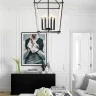 Подвесная люстра Delight Collection Cage BRCH9123BK