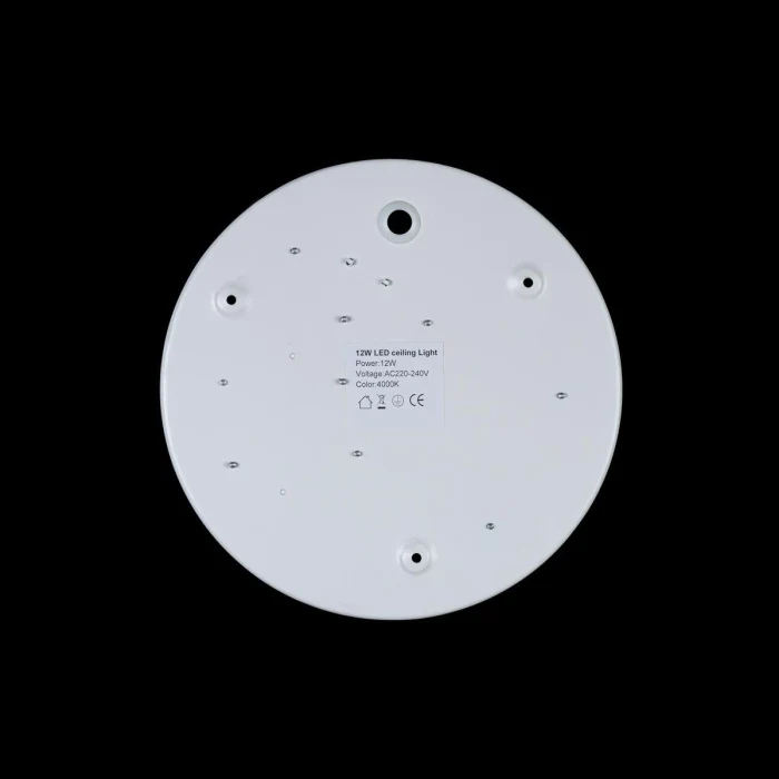 Светильник потолочный LOFTIT Axel 10002/12 White