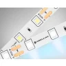 Светодиодная лента Ambrella Light GS1003 2835 60Led /4.8W m/ 12V IP20 6500K 5m/ кратность резки 50mm Ambrella light GS1003