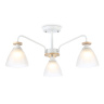 Потолочный светильник Ambrella light TR9562