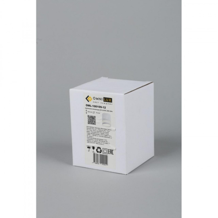 Светильник накладной Omnilux Fortezza OML-100109-12