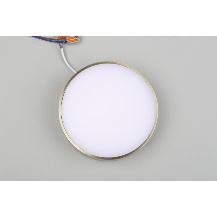 Светильник настенно-потолочный Aployt Evon APL.0113.29.18