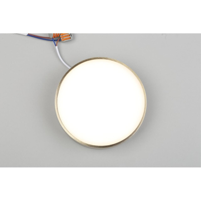 Светильник настенно-потолочный Aployt Evon APL.0113.29.18