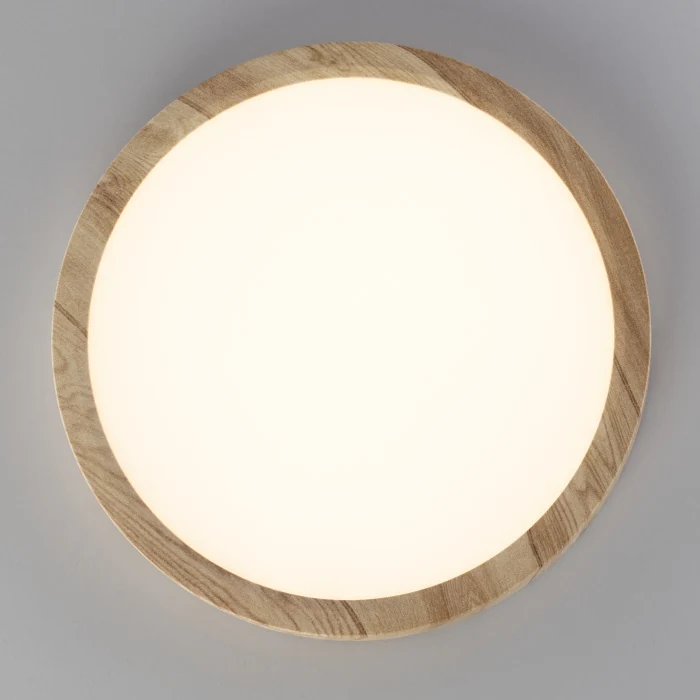 Светильник накладной Citilux Бейсик CL738182V