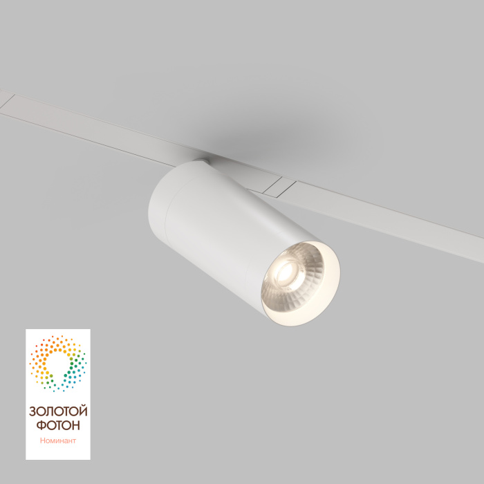 Светильник на шине Denkirs SMART SPOT DK8020-WH