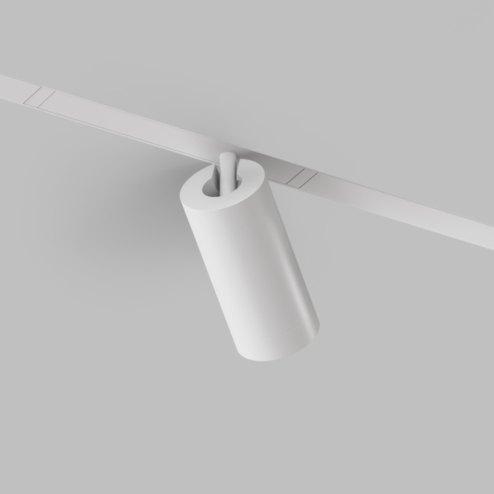 Светильник на шине Denkirs SMART SPOT DK8020-WH