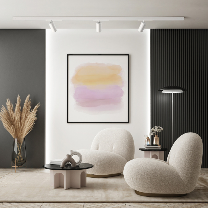 Светильник на шине Denkirs SMART SPOT DK8020-WH