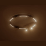 Потолочный светодиодный светильник с дополнительной подсветкой Ambrella light FL5808
