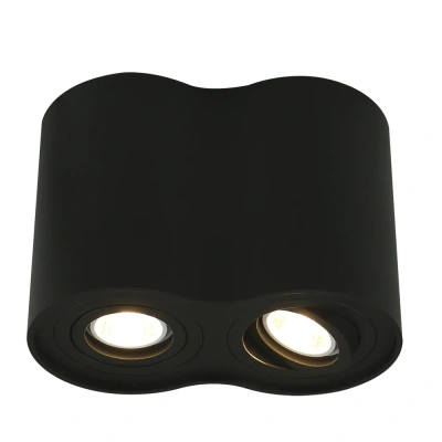 Потолочный светильник Arte Lamp A5644PL-2BK